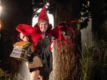 Into The Woods
