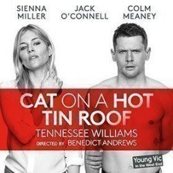 Cat On A Hot Tin Roof Cat On A Hot Tin Roof