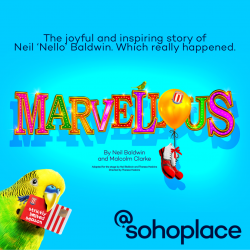 Marvellous Marvellous