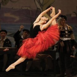 Don Quixote - Royal Ballet Don Quixote - Royal Ballet