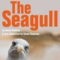 The Seagull The Seagull