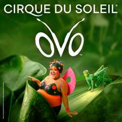 OVO - Cirque du Soleil, Londres